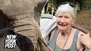 American tourist killed after elephant rams truck on African safari seen smiling before attack