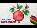 How To Draw Pomegranate Step By Step Very Easy 