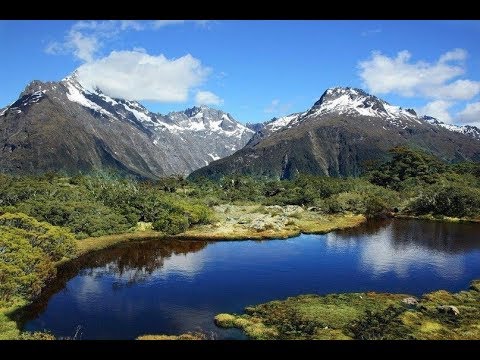 Классный фильм  Дикая природа Новой Зеландии  Национальные парки  Документальный фильм