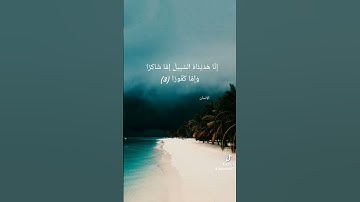 تلاوة طيبة للقارئ علي صلاح عمر