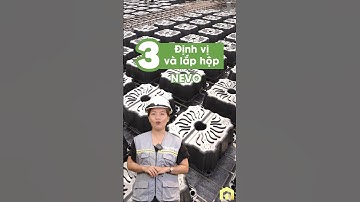 Hướng Dẫn 9 Bước Thi Công Sàn Không Dầm NEVO Phần 1 | Tre Nghệ