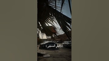 #القارئ_سليمان_عبدالله_النفيسه