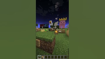 Minecraft but everyday I place a grass block until I reach the world border 73 #shorts #minecraft