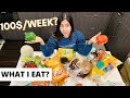 $100/Week Grocery Haul | What I EAT? | Come Shop with Me| PEEKAPOO