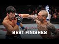 Top UFC Finishes You Might Have Missed 👀