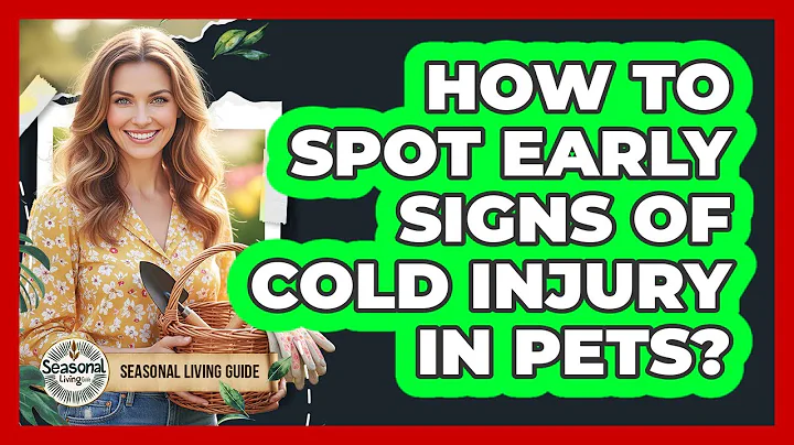 How To Spot Early Signs Of Cold Injury In Pets?