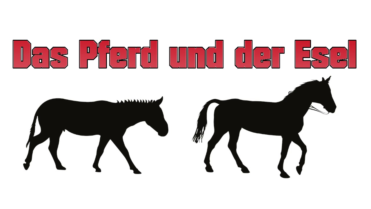 Das Pferd Und Der Esel