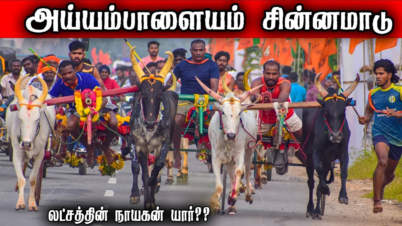 ⭕LIVE|அய்யம்பாளையம் லட்சத்தின் நாயகன் யார் சின்னமாடு-2. 1,00,001ஆயிரம் யாருக்கு??