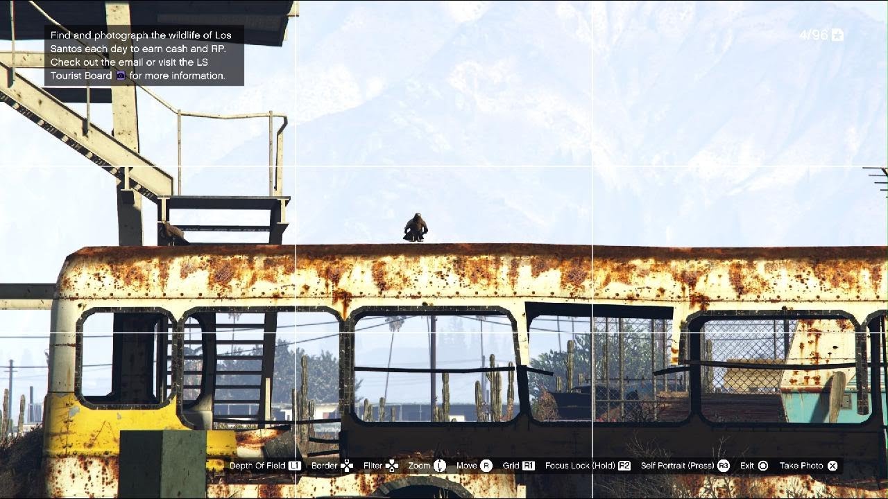 Chicken Hawk Bird Location GTA Online YouTube 