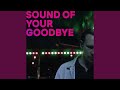 Sound of your goodbye