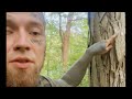 Making shag bark hickory syrup