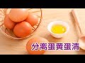 如何巧妙分离蛋黄蛋清？|Separate Egg Yolk