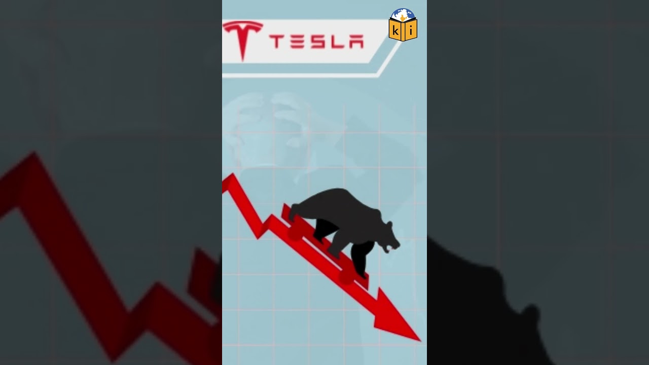 Elon Musk's DOGE Experience