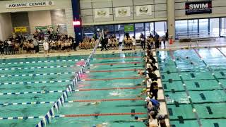 Swimming cyo Olympics 2019