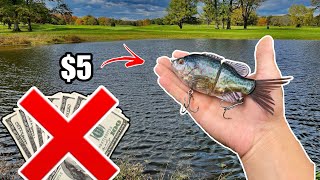 BUDGET $5 SWIMABAIT Catches MONSTER BASS!