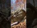 Yonah Boy, V3 - Mount Yonah GA