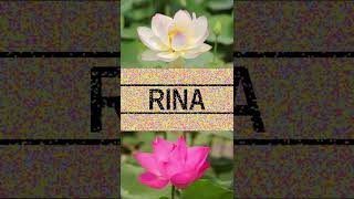 Rina Rina Lotus Status Rina - Peace