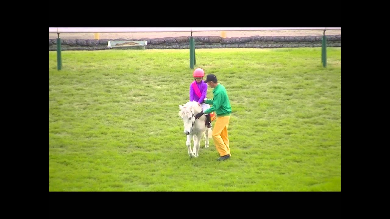 2013 第5回 ジョッキーベイビーズ の模様