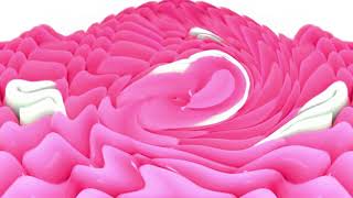 Samsung Logo Balls G Major Collection 61-90