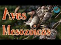 Aves del Mesozoico (Colaboración con Crónicas del Chivizcoyo)