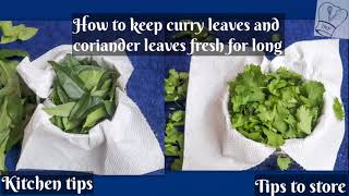 How to keep coriander leaves and curry leaves fresh in fridge for weeks | kitchen tips | fresh herbs