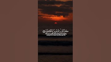 تلاوة خاشعة تأسر القلوب عبدالرحمن مسعد