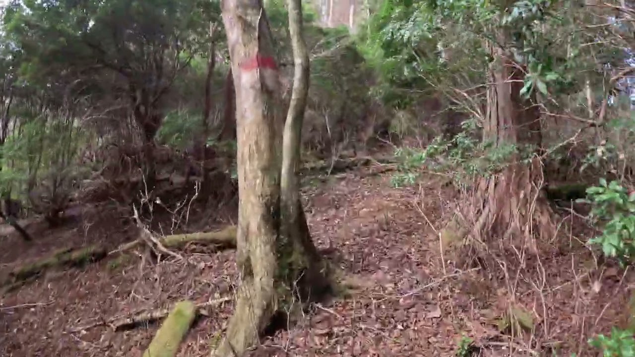 ２０２６　元旦の長九郎山　内野火ケ山　登山