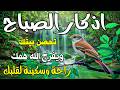 أذكار الصباح راحة نفسية لا توصف بصوت القارئ علاء عقل       