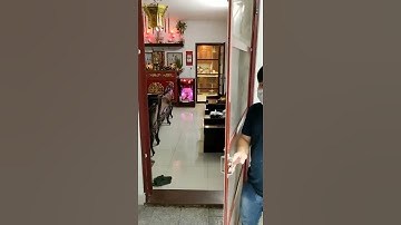 Anh Quang mới lắp của lưới chống muỗi dạng cố định SIÊU chất lượng