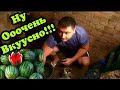 СОЛЕНИЕ АРБУЗОВ НА ЗИМУ . Солим арбузы в бочке! Salting watermelon in winter.