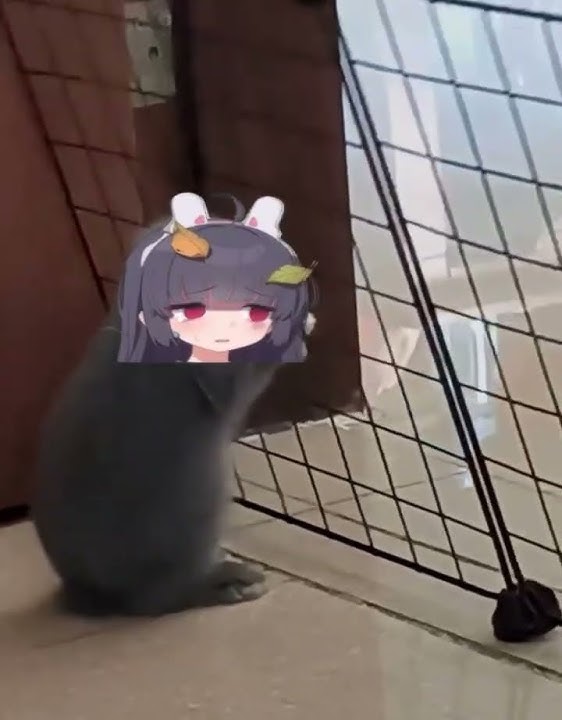 Miyu gets squished - Blue Archive Meme