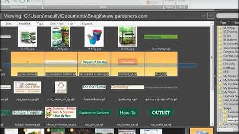 Snagit 9 How to Use Web Capture