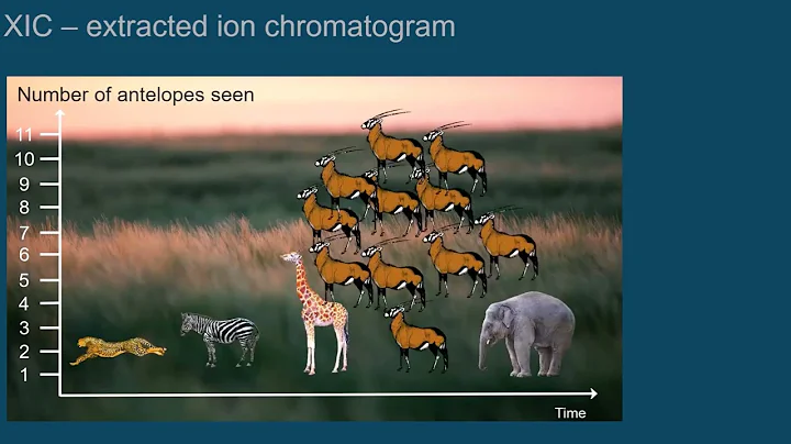 Reading and understanding ion chromatograms - Episode 3 | Introduction to LC-MS