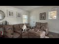 Dog Destroys House When Alone Fix This Chaos Fast With Brain Games