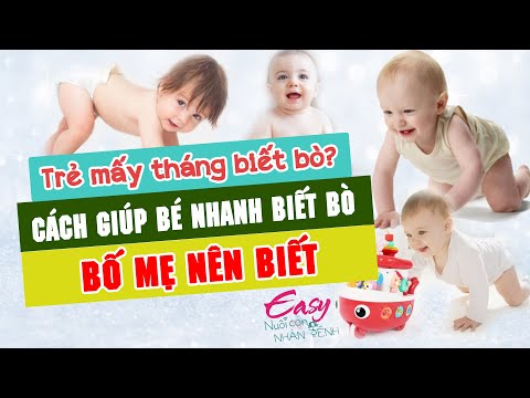 Video Trẻ mấy tháng biết bò? Cách giúp bé NHANH BIẾT BÒ bố... - youtube