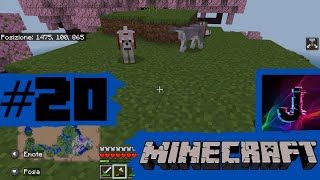 Continuiamo l'esplorazione e troviamo i CILIEGI - Ep. 20 Minecraft | J-Rex