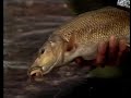 Go Fishing John Wilson Down On the Avon Series 2 Episode 1