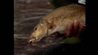 Go Fishing John Wilson Down On the Avon Series 2 Episode 1