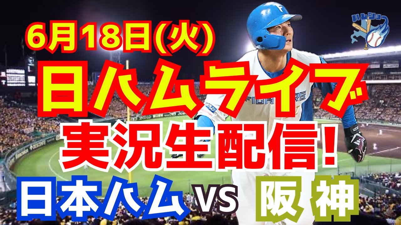 9月15日 6/2（金）阪神vs日ハム 1塁側アルプス指定 4