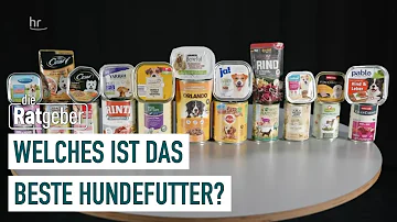 Welches ist das beste Hundetrockenfutter auf dem Markt?