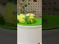 インコの水浴びが可愛い
