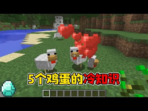 我的世界：5个关于鸡蛋的冷知识，小鸡竟然是这样生成的