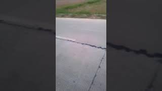 Arokk Seting Fu Mama Sange 400M