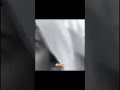 قصه عطر المطاوعه في بدايه توبه ابو زقم الشيخ سلطان الدغيلبي الشيخ سلطان الدغيلبي التوبة قصه عطر المطاوعه في بدايه توبه ابو زقم الشيخ سلطان الدغيلبي الشيخ سلطان الدغيلبي التوبة