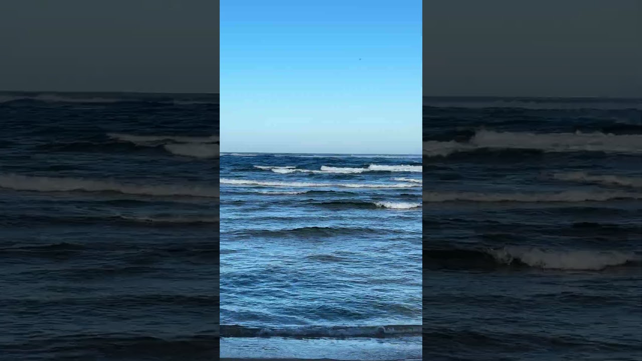 ASMR Haleiwa beach morning swim #waves #calmbeforethestorm