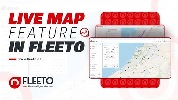 Exploring the Live Map Feature in Fleeto