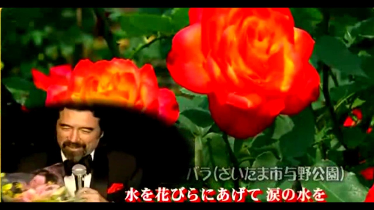 尾崎紀世彦 五月のバラ 1977 Youtube