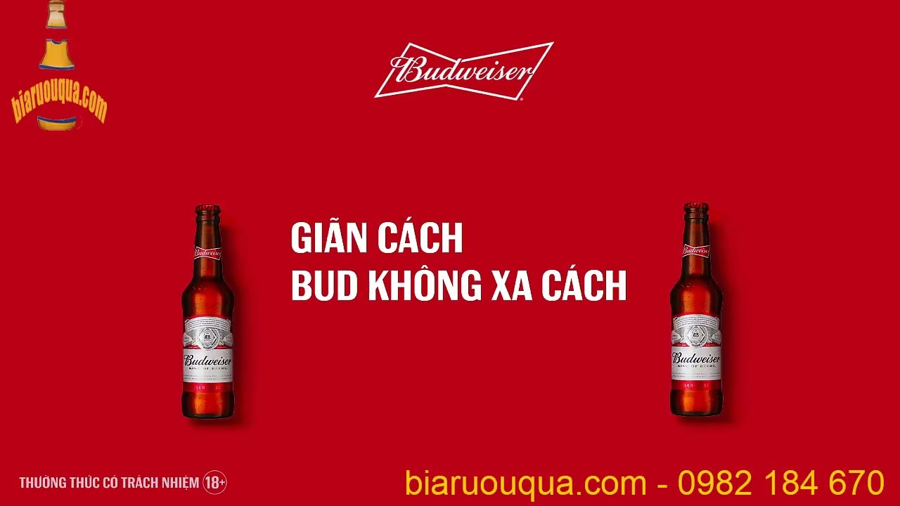 Mua bia Budweiser giá bao nhiêu? Đại lý bia Budweiser... - youtube