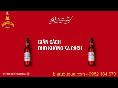 Video Mua bia Budweiser giá bao nhiêu? Đại lý bia Budweiser... - youtube