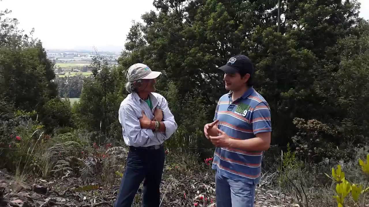 Entrevista Innovum Media S A S camera iphone 8 plus apk